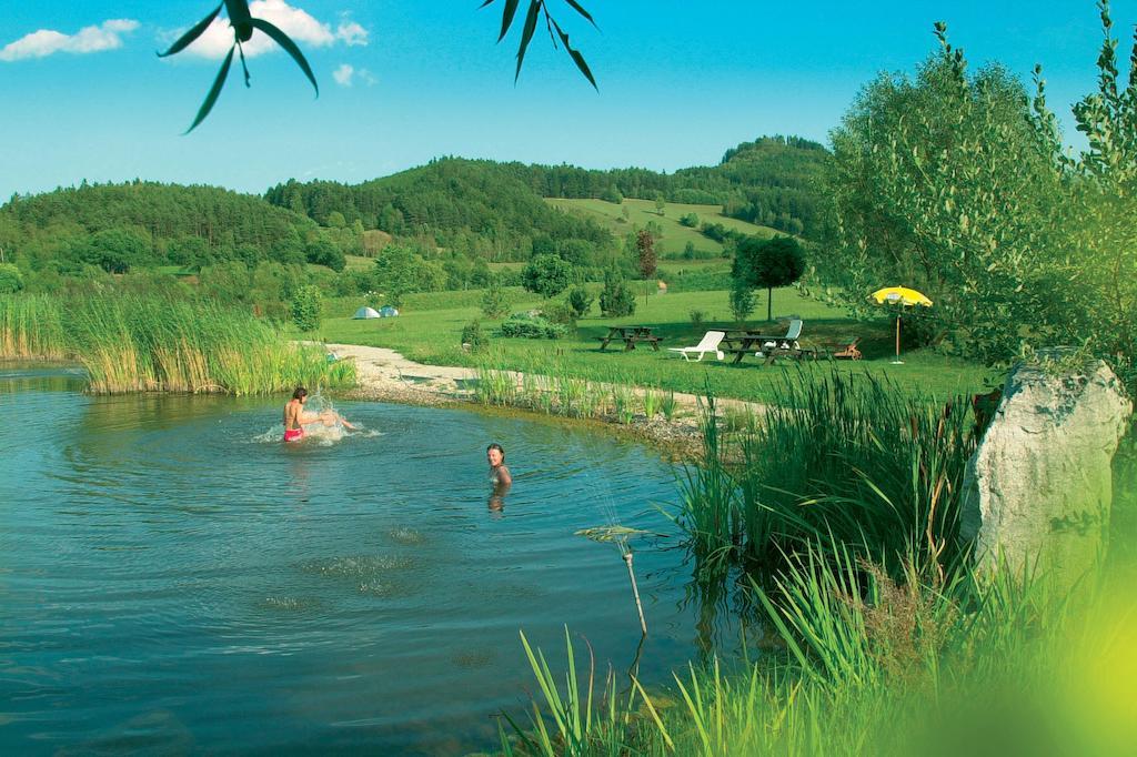 Schreiner'S - Das Waldviertel Haus Laimbach am Ostrong المظهر الخارجي الصورة